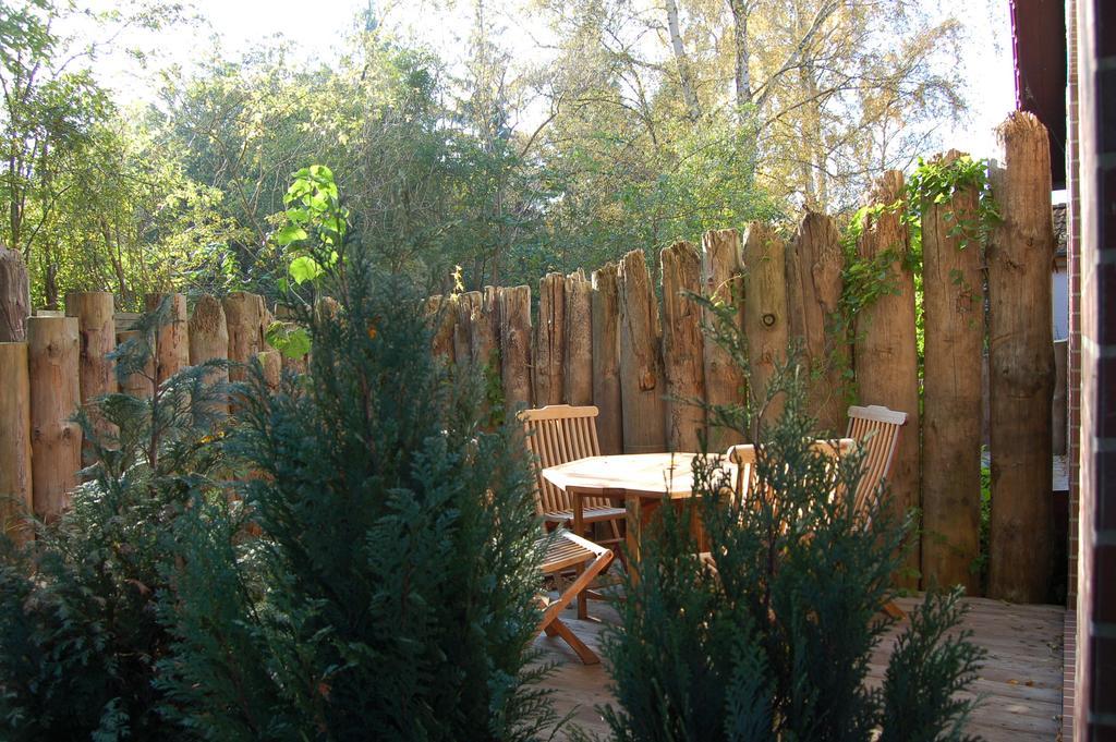 Ferienhaus Im Urigen Garten Bzw Eulenhaus Zingst Ruang foto